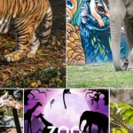 Magie de seară la Grădina Zoologică din Târgu Mureș