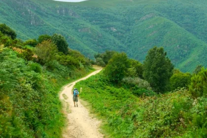 Nu doar Via Transilvanica. Modelul Camino de Santiago ar putea impulsa turismul din Mureș