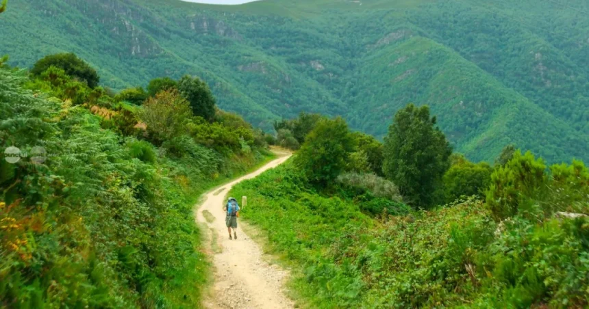 Nu doar Via Transilvanica. Modelul Camino de Santiago ar putea impulsa turismul din Mureș