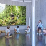 Parc în formă de urs pe teren părăsit în centrul Sovatei. Proiect de 9,5 milioane lei