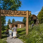 Parc tematic de 2,5 milioane de euro dedicat urșilor din întreaga lume, la Sovata