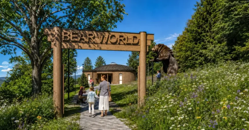 Parc tematic de 2,5 milioane de euro dedicat urșilor din întreaga lume, la Sovata