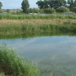 Proiect în Viscri, premiat de CE pentru tratarea inovatoare a apelor uzate