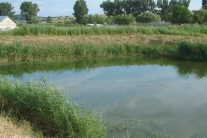Proiect în Viscri, premiat de CE pentru tratarea inovatoare a apelor uzate