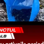 Punctul alb de pe harta lumii contemporane