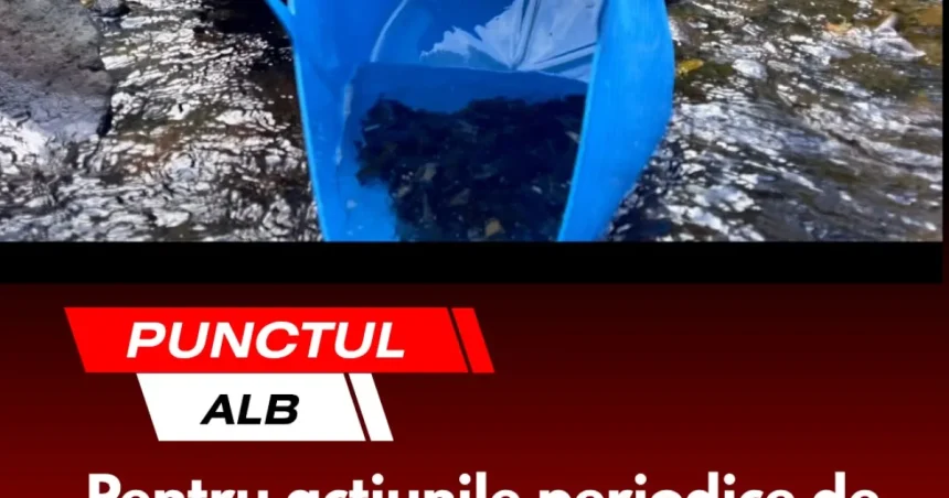 Punctul alb de pe harta lumii contemporane