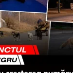 Punctul negru care schimbă soarta unui întreg sezon competitional