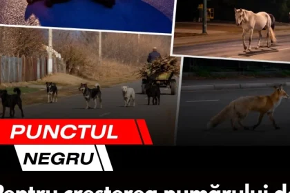 Punctul negru care schimbă soarta unui întreg sezon competitional