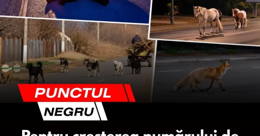 Punctul negru care schimbă soarta unui întreg sezon competitional