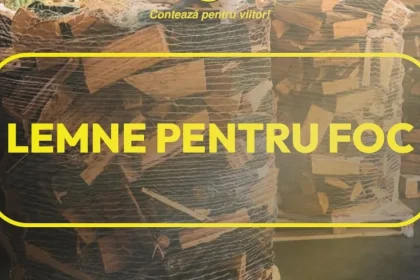 Romsilva oferă 2 milioane de metri cubi de lemn de foc în 2026, la prețuri ca anul trecut