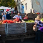 Sărbătoarea Mărului la Batoș, ediția 23. Pomicultura tradițională continuă în Mureș