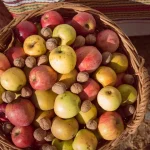 Sărbătoarea Mărului la Batoș: tradiții și spectacole pe 10-11 octombrie