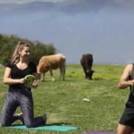 Tinerii care au schimbat Târgu Mureșul pe satul Idicel și refac o casă veche