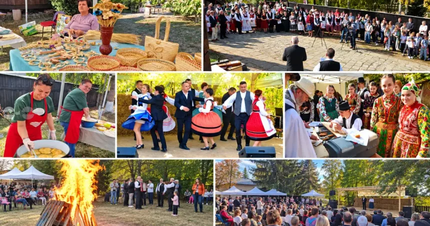 Ziua Comunității Maghiare la Sângeorgiu de Mureș: spectacole și ateliere